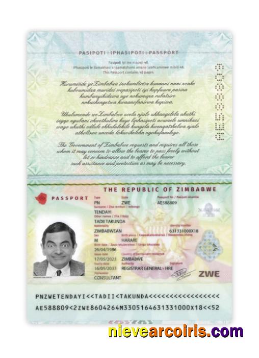 Zimbabwe passport 2023-present